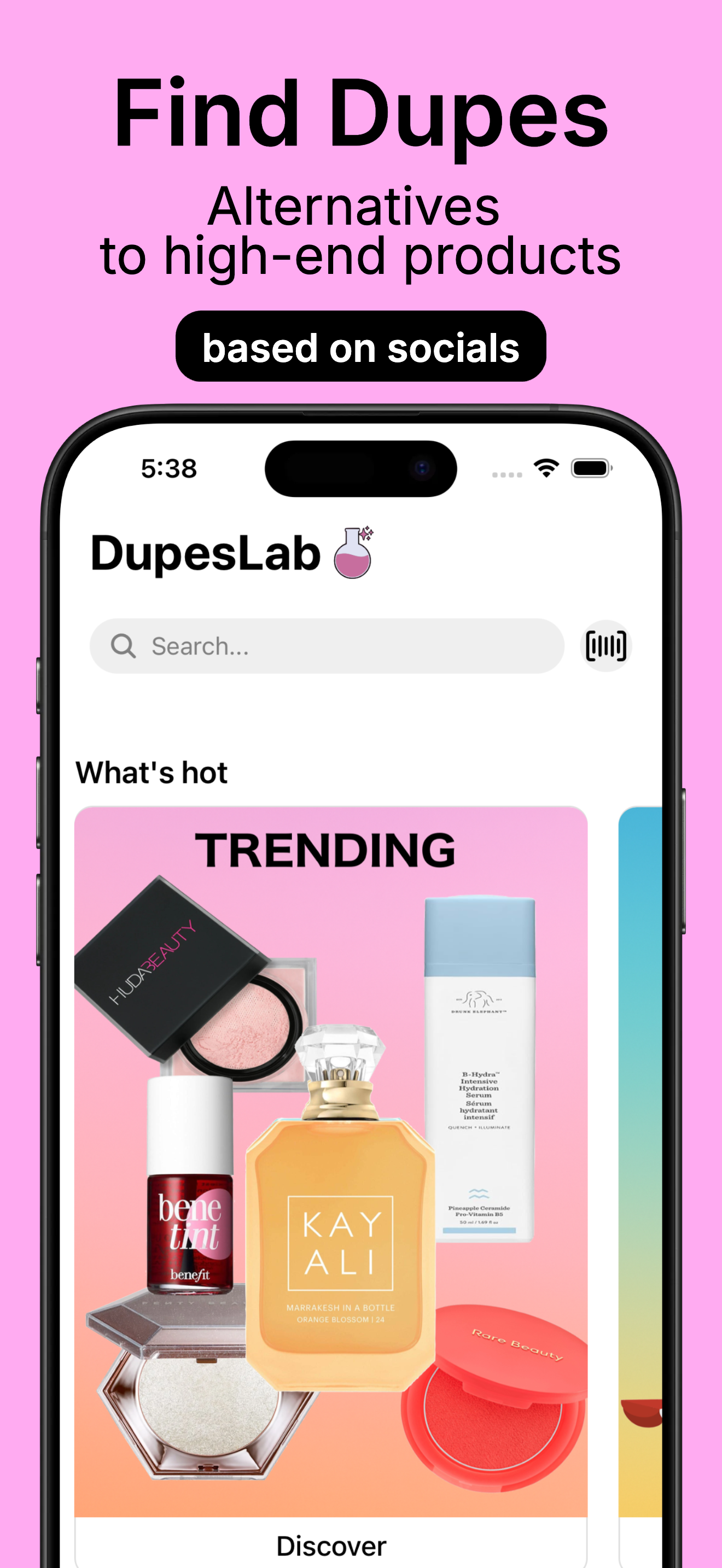 DupesLab screen 1